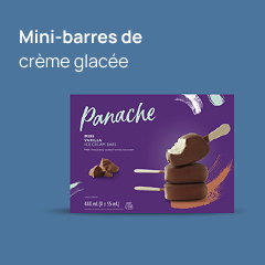 Une photo de Panache's Mini barres de produit et lecture de texte "Mini Barres de creme glacee".